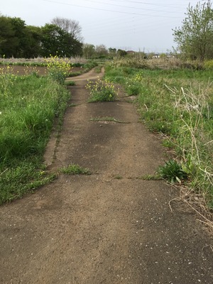 0A9529FF-6A76-46B5-B4B7-1F9E2A59BC38