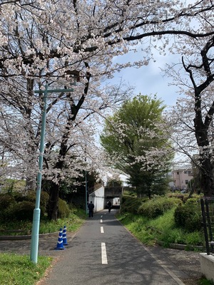 IMG_1485_Original
