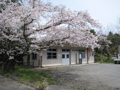 IMG_3135_Original