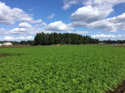 60948A95-60D7-468B-9ED3-CA725A346327