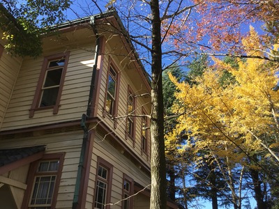 86D7BEB4-25A2-4B23-A182-0A893ED5C91A