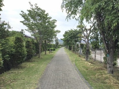 5B5CE10E-A1CF-4D58-8B22-C410D9814DB2