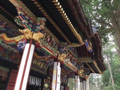 D671D223-4960-4B41-84B2-3163134A8423