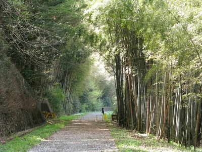 7C1CD11F-3203-495F-9F10-4C8EDC45529A