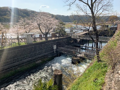IMG_1548_Original
