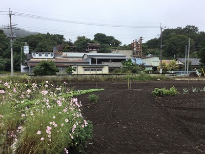 125517C7-E952-4904-90BA-33A542020796