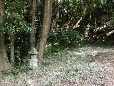 D830099E-C902-470D-8318-3C97CC5E4DA7