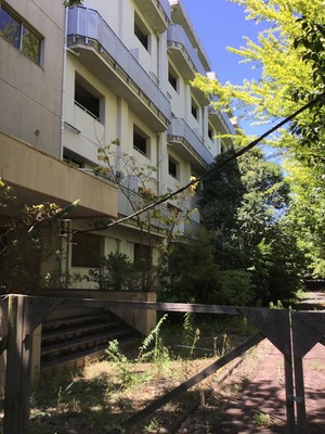 166D9C36-FE29-4A01-B199-BC14626BC70B