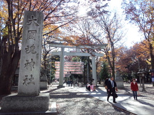 IMG_20141205_122806810