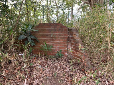 IMG_7967_Original