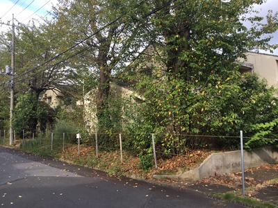 36A02E55-0157-48C0-8DC6-5399CBED680F