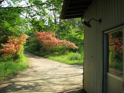 BF9DB295-CA3C-4045-8AA9-3E0A91ECEE21