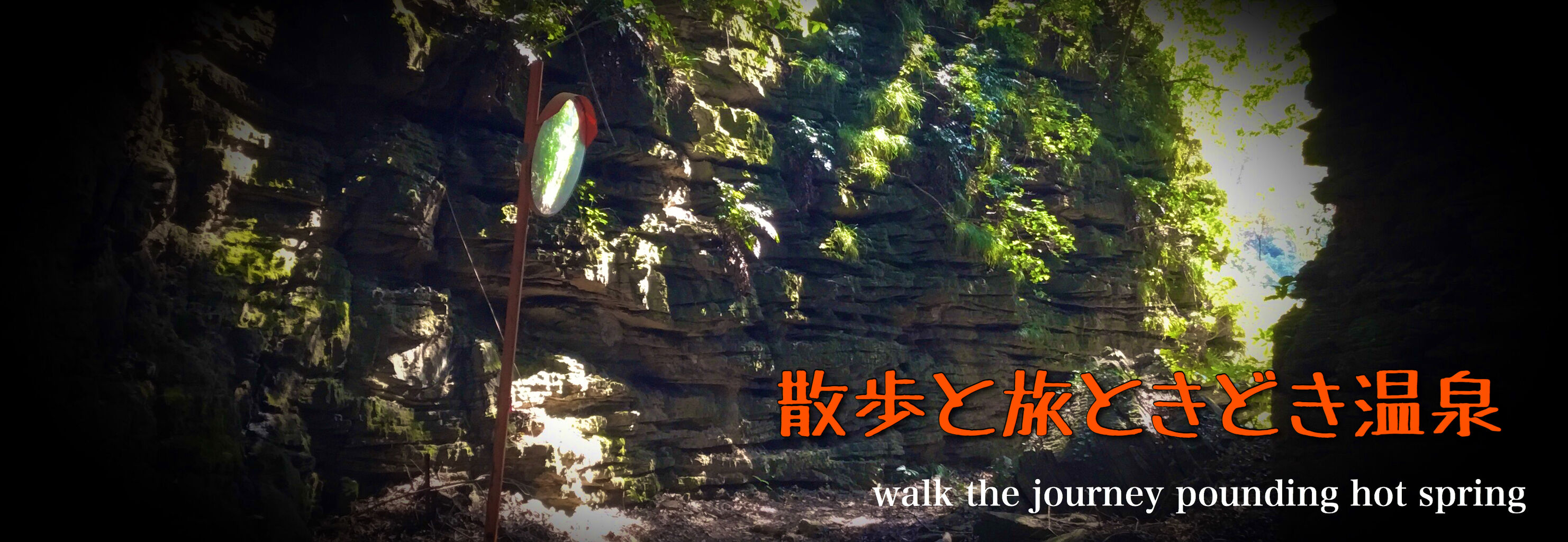 ワンピース Sheer強撚コットン フレアワンピース ワンピース Yuni ユニ のファッション