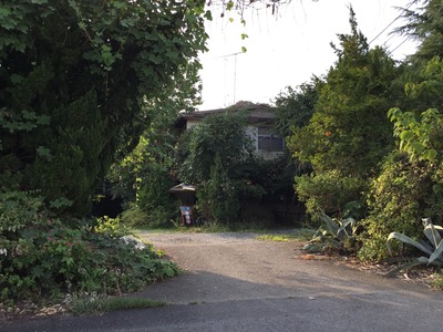 F6FBF05C-B137-4E0D-ADA4-234AF06853F3