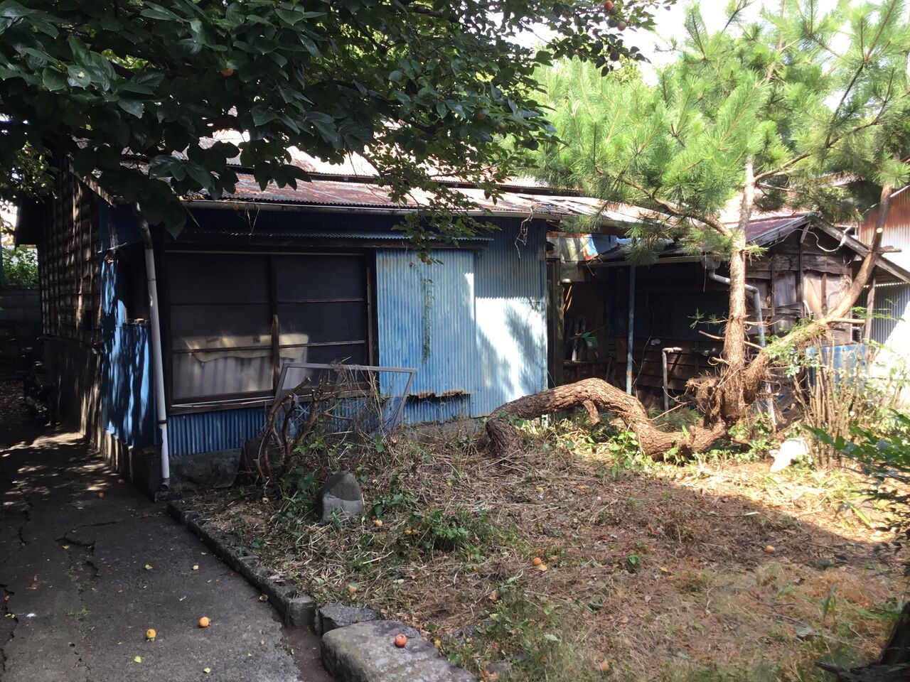 静岡県沼津市 2 大岡地区 謎のバラック集落 散歩と旅ときどき温泉 静岡県沼津市 2 大岡地区 謎のバラック集落 散歩と旅ときどき温泉
