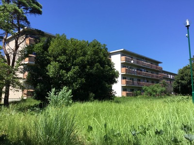 01907EEB-55A8-4B47-AD4C-7653B2804CFA