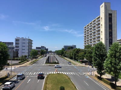 EBA3A965-0B53-45BD-BAD9-83E9498E4BCA