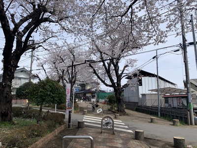 IMG_1505_Original