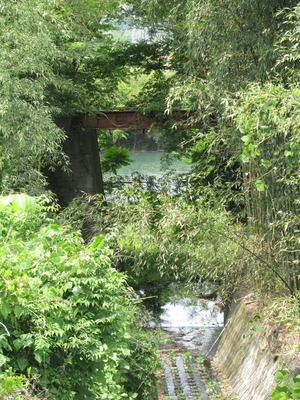 EE9ED147-B7B6-464E-965A-87C4E69E8F47