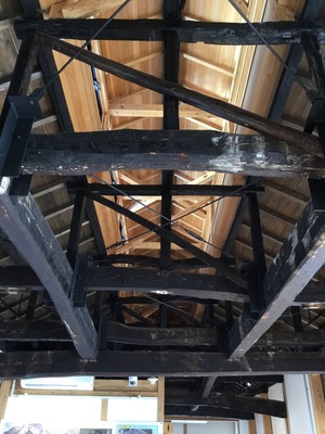 F34967C8-8442-4581-8AF3-6CA077FADD16