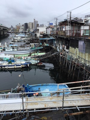 1EACCD8B-73DE-4391-9504-47B8A45A381E