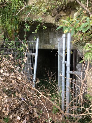 FBE96109-9598-440B-9B89-BAAF2A251E38