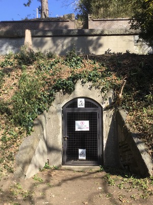 0D4B5CE0-FAB1-4295-96C0-AB43B1B002E7