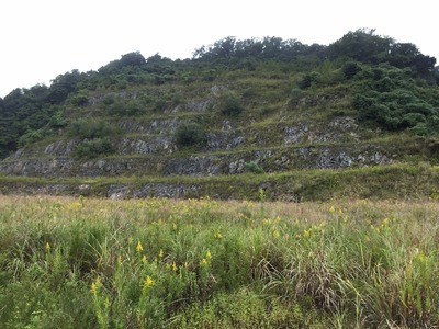 B6162D30-592A-4D2E-B742-0384D759DF63