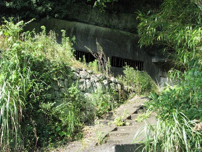 9E2979CF-8E4F-47AA-BA08-E9D577792752