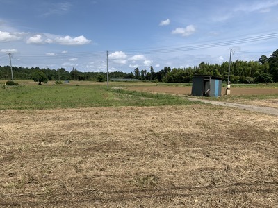 IMG_2124_Original