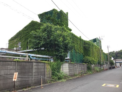 1AD5294F-8FD6-472F-9411-8CA949A80755