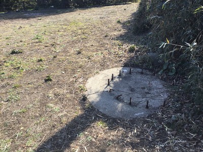 3FCEB27B-6628-4DB8-A1BC-923A60FB3AD3