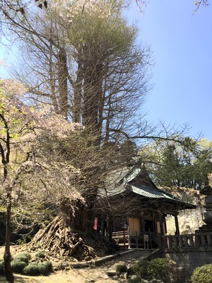 C0AD94E9-7CBA-48A1-A019-3DC8E724846C