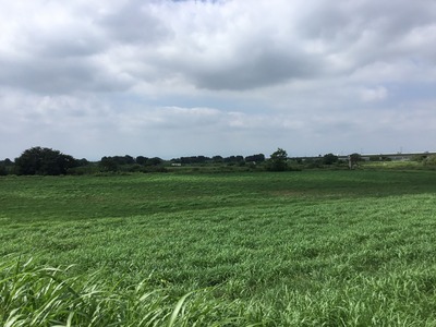 F8E7906D-F0E1-4886-8792-158E5572B622