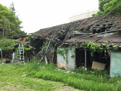 F4B09B8D-6E52-462B-8E28-4BB7C9797B3A