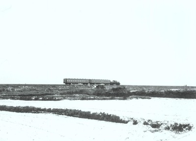 IMG_2070_Original
