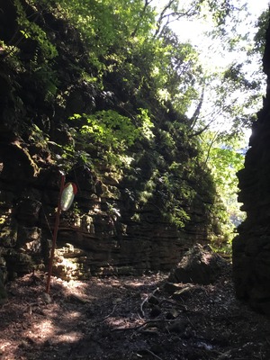 F81C59C4-744C-450E-89F3-6751789BD373