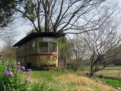 B981D9E4-458A-472A-9966-D285AAC7B6D5