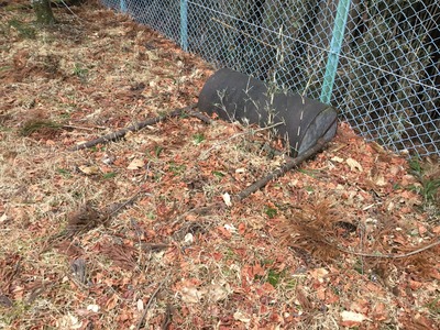 33FC9804-074C-4C1C-A3E1-F83901E80106