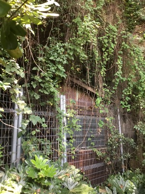 3B3AFAED-03B3-4274-A0FD-EADFB96122B6