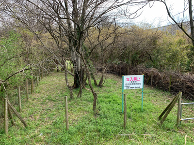 IMG_2024-04-06-200306