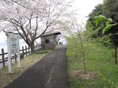 IMG_3154_Original