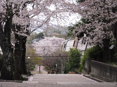 335FA5C0-0996-4D31-B89E-8238A101A424