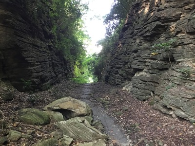 A037F3F1-68FF-4190-ADEC-8AC522E701A1