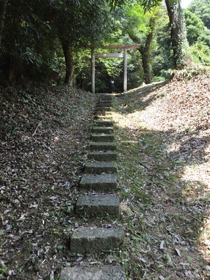 0DC6D53B-379B-40A0-B3D5-DFC218A7BC5B