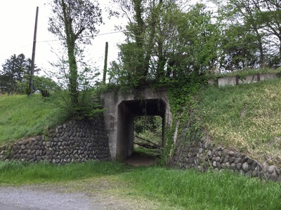 DC082C23-6471-4CB5-B435-EBF91624B651