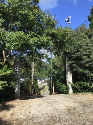 26FF9CB1-365B-49DC-B221-340978FC6769