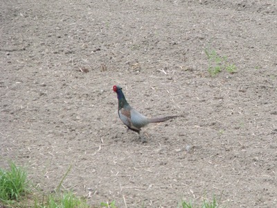 C4A93198-F2D0-47FD-9F26-9B71EA0AA5F2