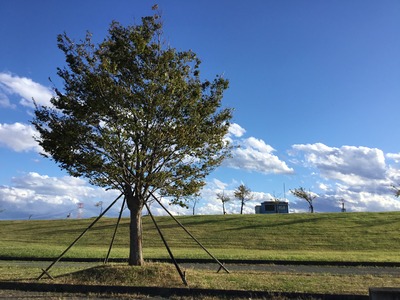 C64ECB84-E602-4E2C-8FB9-5213DE2192CD