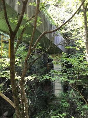 3B2655AB-C974-43DD-A115-2B8F93563570